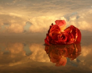 حب في المرايا حب في المرايا