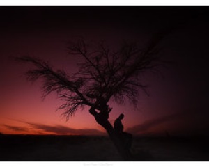 محاولة محاولة