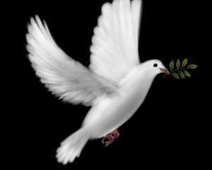 السلم صناعة الديمقراطية السلم صناعة الديمقراطية