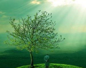 مع وحدتي مع وحدتي