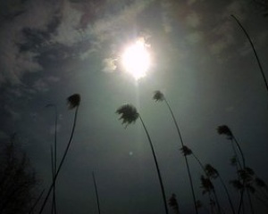 اِرفع رأسك عالياً اِرفع رأسك عالياً