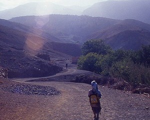 مخاوف السنة البيضاء مخاوف السنة البيضاء