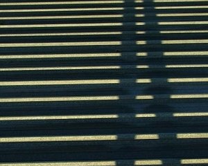 أيستطيع أحد أن يستغني عن ظله؟! أيستطيع أحد أن يستغني عن ظله؟!