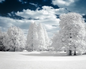 إلى الريف الحقيقي.. إلى الريف الحقيقي..