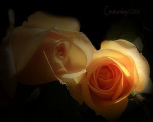 الحروف أجمل ونحن معا الحروف أجمل ونحن معا